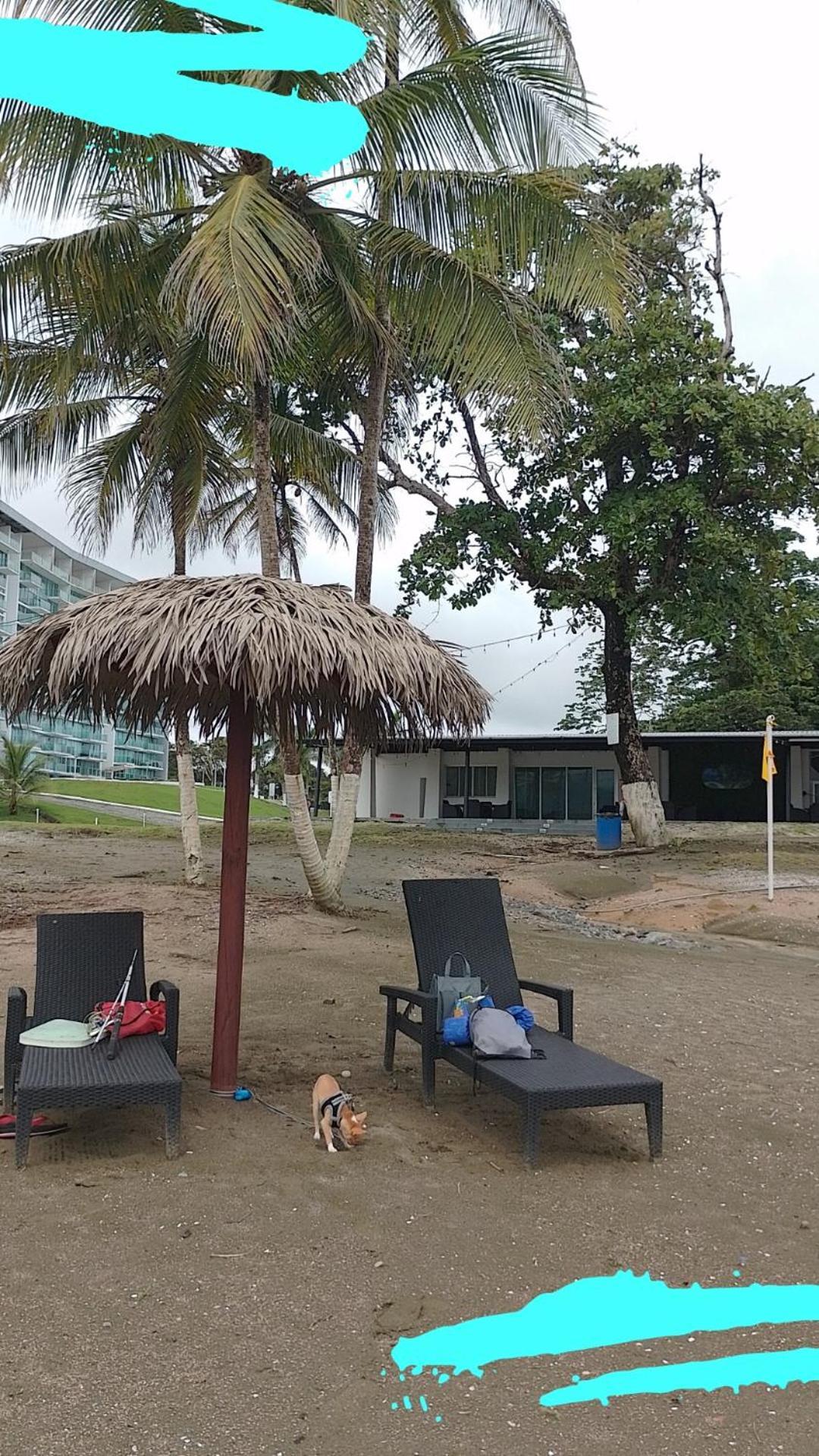 Apartamento En Balabeach Maria Chiquita In Front Of The Beach 2Hab Colon Rom bilde