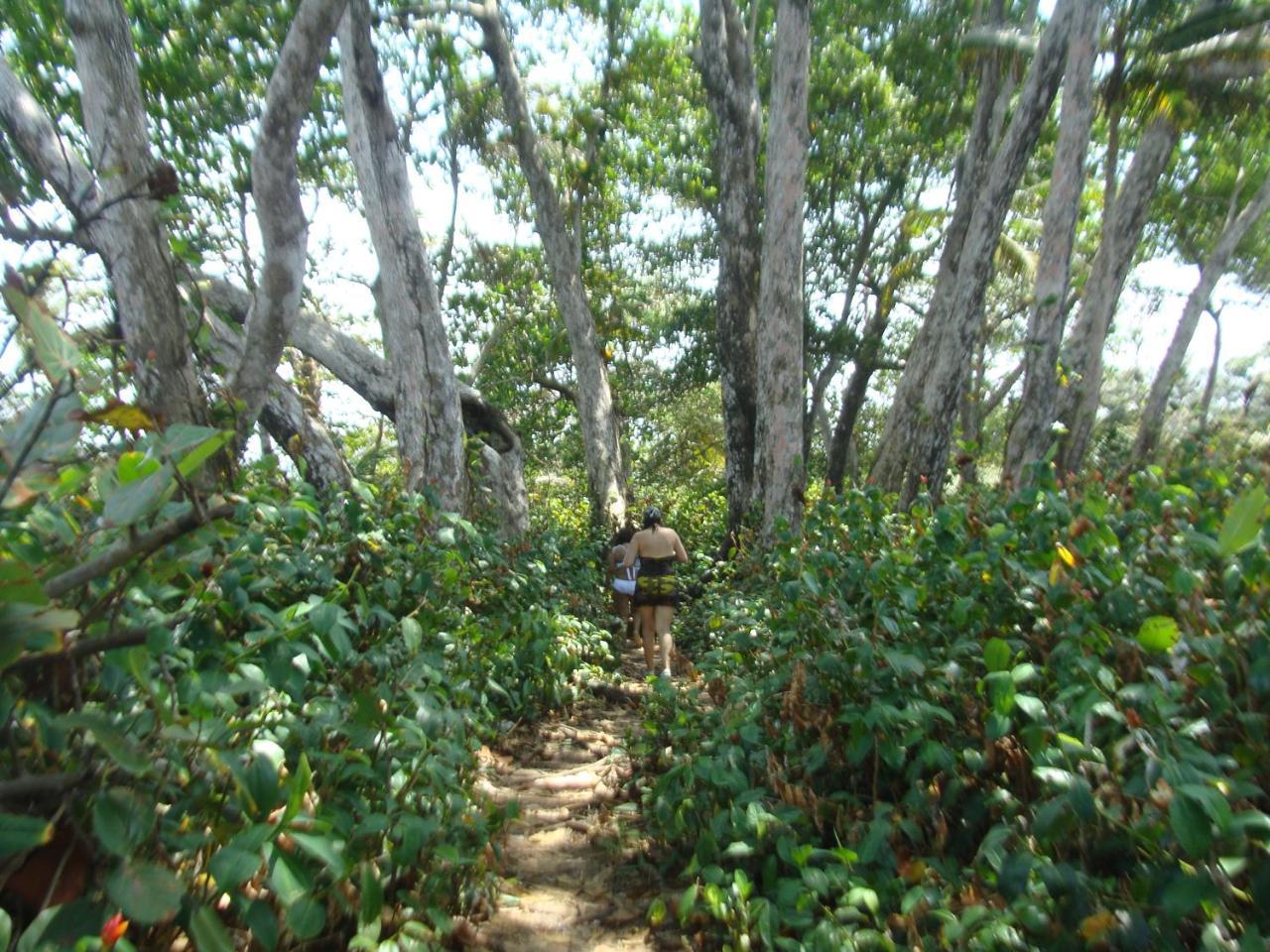 Apartamento En Balabeach Maria Chiquita In Front Of The Beach 2Hab Colon Eksteriør bilde