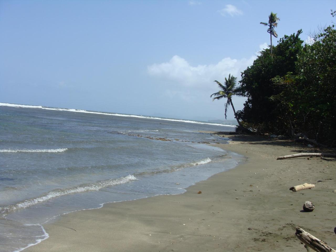 Apartamento En Balabeach Maria Chiquita In Front Of The Beach 2Hab Colon Eksteriør bilde